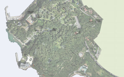 RIAPERTURA AL PUBBLICO DEL PARCO DI MIRAMARE | Reopening of the Miramare Park