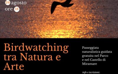 24 agosto 2018 “BIRDWATCHING TRA NATURA E ARTE” A MIRAMARE