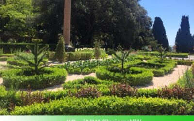 MuseumWeek2020 – quinto tema #AmbienteMW | #climateMW