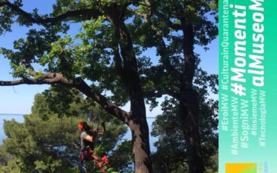 MuseumWeek2020 – quarto tema #MomentialMuseoMW | #MuseumMomentsMW