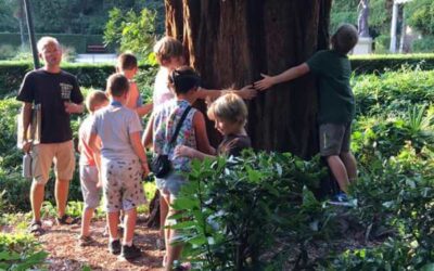 CENTRI ESTIVI #RESTATEAMIRAMARE, QUEST’ANNO PARTNERSHIP CON IL WWF