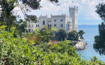 19 luglio 2020 si celebra il #PALACEDAY