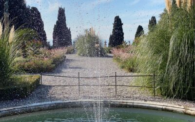 Il Piccolo libri 20 novembre 2020_Le monetine nella fontana di Miramare e i miei tre desideri sono diventati realtà