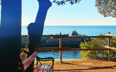 Panchine in restauro – Gennaio 2022