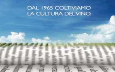 GIORNATA NAZIONALE DELLA CULTURA DEL VINO E DELL’OLIO