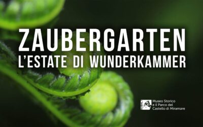 12 agosto 2018 CONCERTO ZAUBERGARTEN L’ESTATE DI WUNDERKAMMER