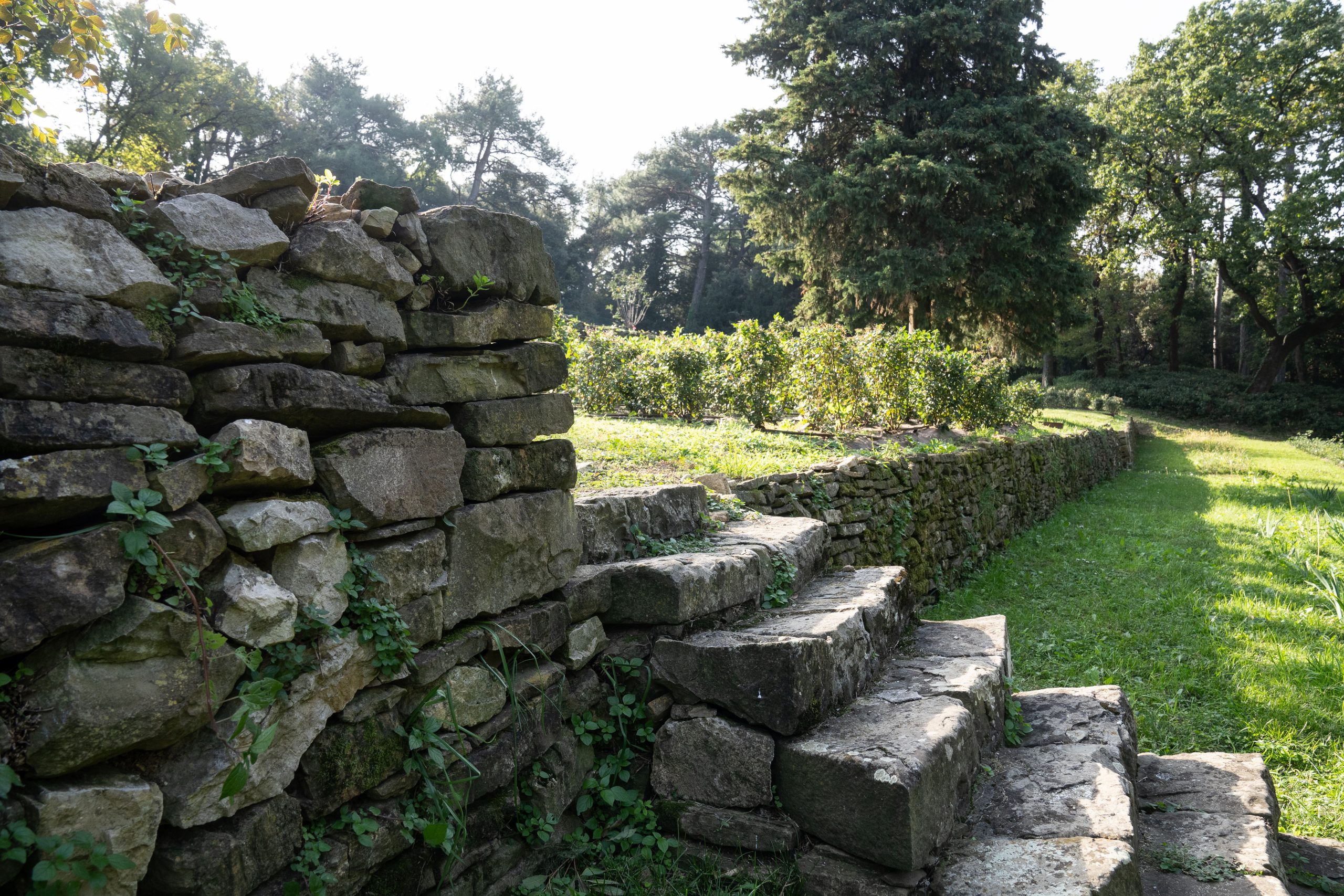 GEP 27 SETTEMBRE – EVENTO DIURNO