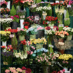 Finissage MOSTRA NATURAE. AMBIENTI DI ARTE CONTEMPORANEA