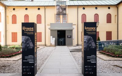 Scuderie del Castello di Miramare chiuse il 2 luglio
